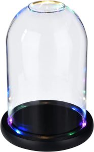 6187mZJUEoL._AC_SL1500_