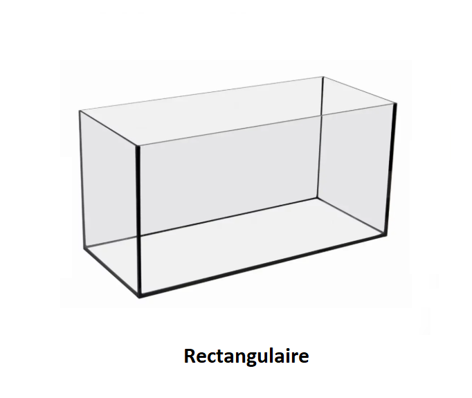 Rectangulaire