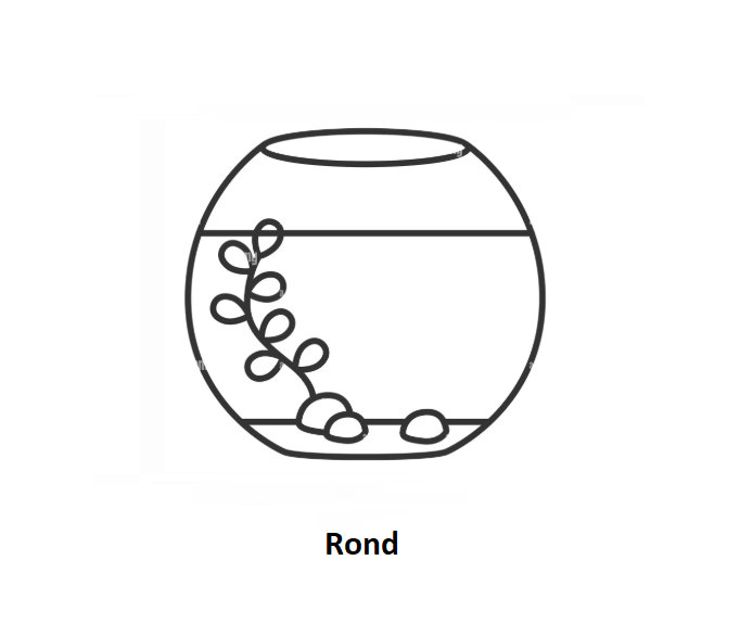 Rond