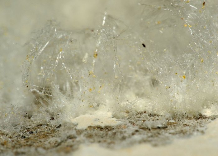 2013-02-03_17-31-45-salpetre