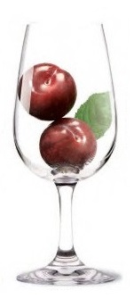 verre12