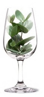 verre17