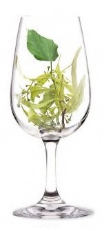 verre51