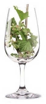 verre60