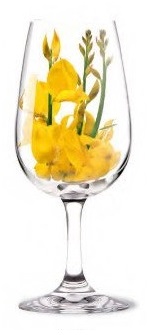 verre81