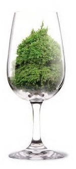 verre83